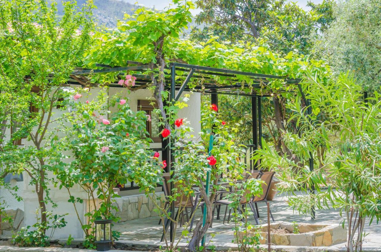 Chrisella Villa Skala Rachoni  Exterior photo